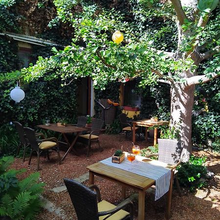 Zum Ginkgobaum Ξενοδοχείο Stadtilm Εξωτερικό φωτογραφία
